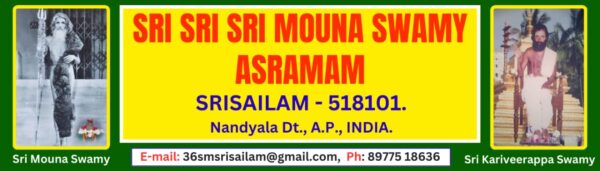 srisailamsrimounaswamyasramam.org